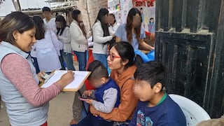 Más de 10 mil niños menores de tres años con anemia en la región Ica, advierte estudio