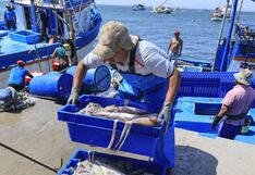 Pescadores de la macrorregión sur laboran, pero persiste pedido de cuota diferenciada