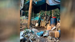 Autoridades destruyen instalación clandestina de producción de droga en Huánuco