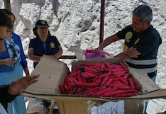 Destruyen cajas con “Mamá Rata” y un costal con avellanas y cohetones caseros