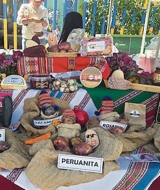 Feria por el Día Nacional de la Papa se realizó en el parque Los Ccoritos en José Luis Bustamante y Rivero. Foto: GEC.