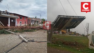 Jauja: Fuertes vientos derriban árboles y postes eléctricos