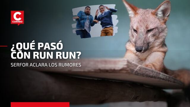 ¿Qué pasó con ‘Run Run’?: Serfor aclara las dudas