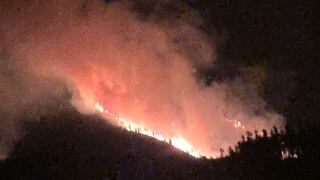 Pasco: Grandes lenguas de fuego consumen bosques de pino en Huariaca