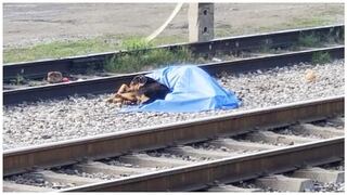 Perrito permaneció junto a su dueño que murió arrollado por un tren (VIDEO)
