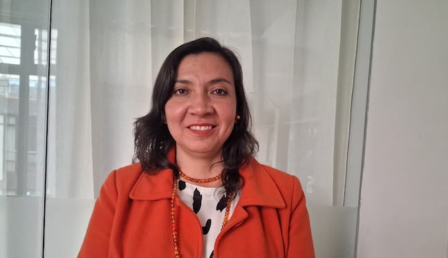 Retiran del cargo a Romina González Rodríguez, quien presidía la Comisión de Festejos de la Arequipa. Foto: GEC.