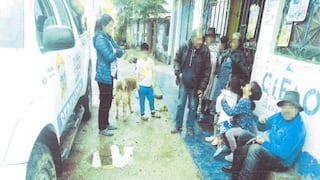 Fiscalía lleva a juicio a chofer y terramozo por discriminar a anciano quechua-hablante