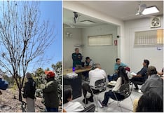 Ica: mesa técnica para el control del pulgón amarillo en el cultivo de pecano