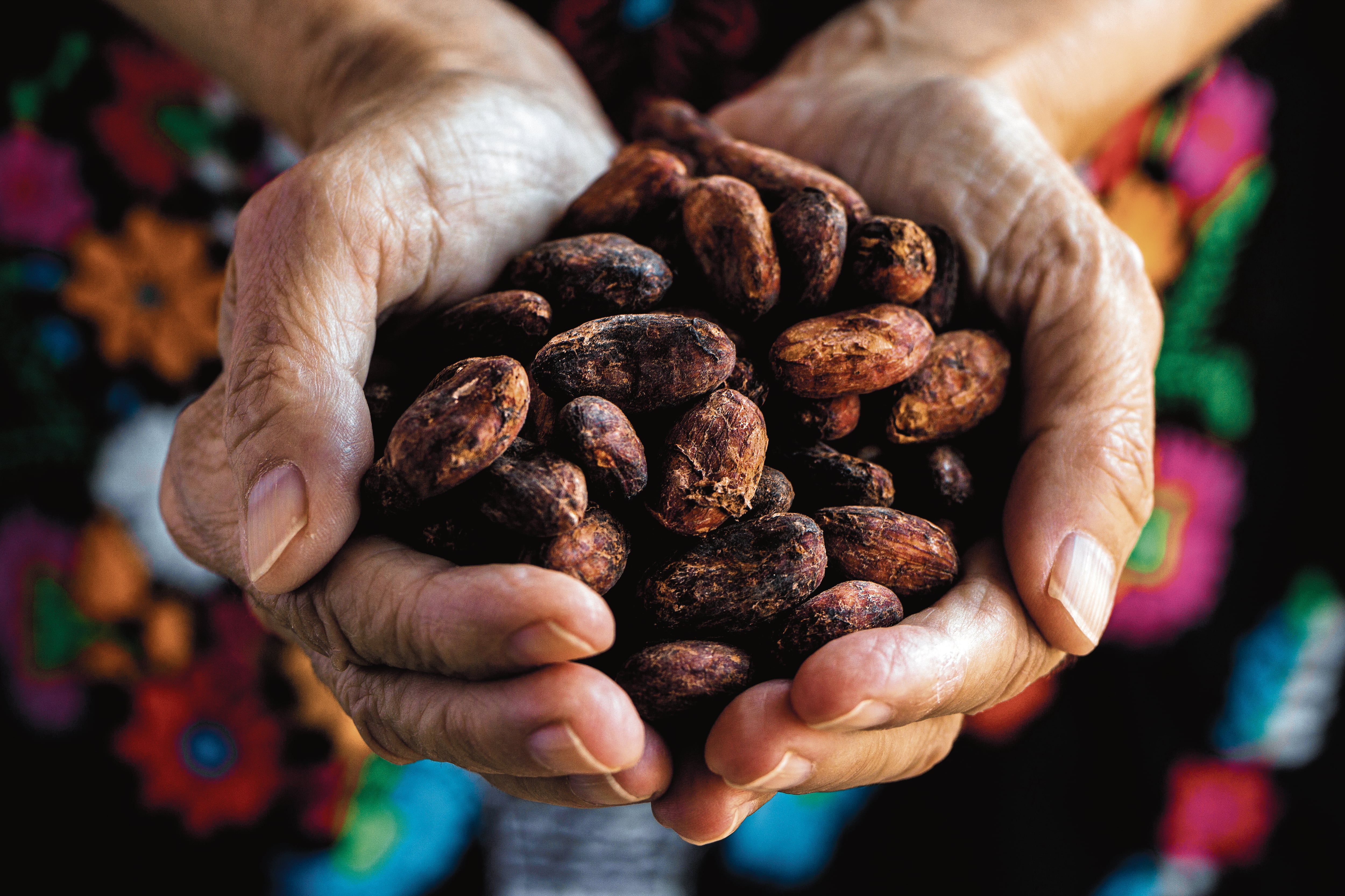 “Considerando que ha crecido el sector de chocolate de altos porcentajes de cacao, seguramente comemos la misma cantidad, pero con mayor cacao”, escribe Vanessa Rolfini Arteaga