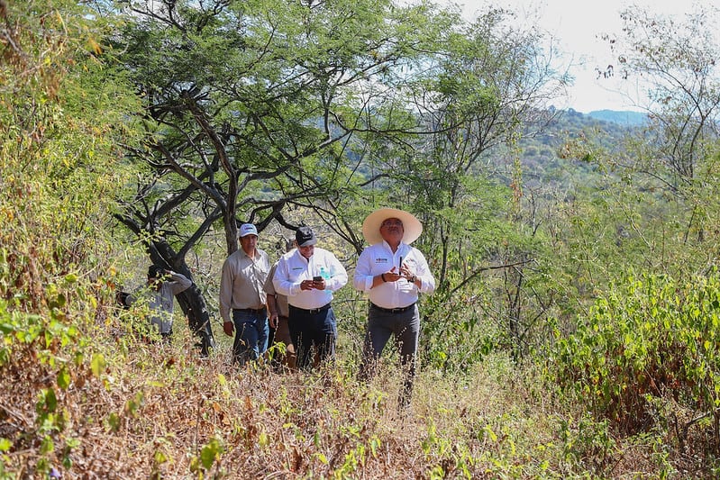 VIsitan la zona turística