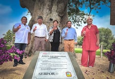Chincha: Ceibo de 300 años es declarado “Árbol Patrimonial”