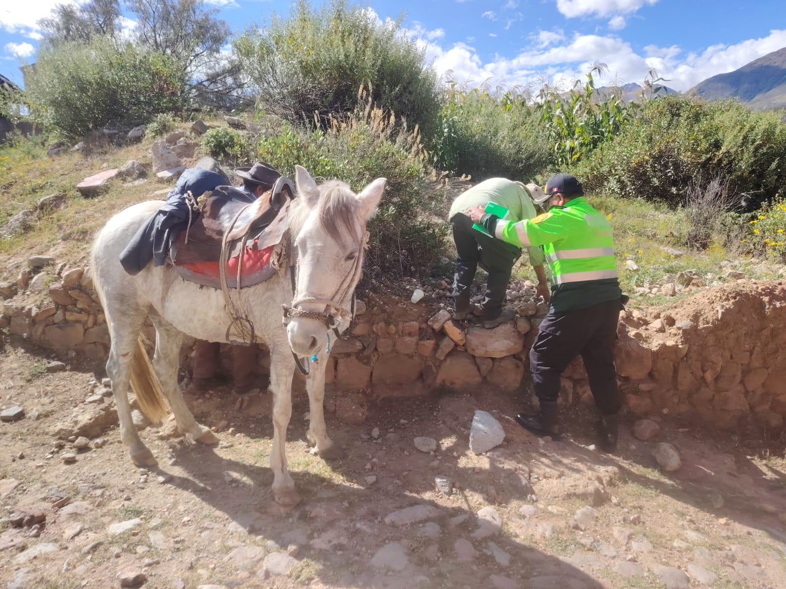 Tomás Mamani Cunurana (75) tuvo que ser ayudado a bajar. (Foto: Difusión)