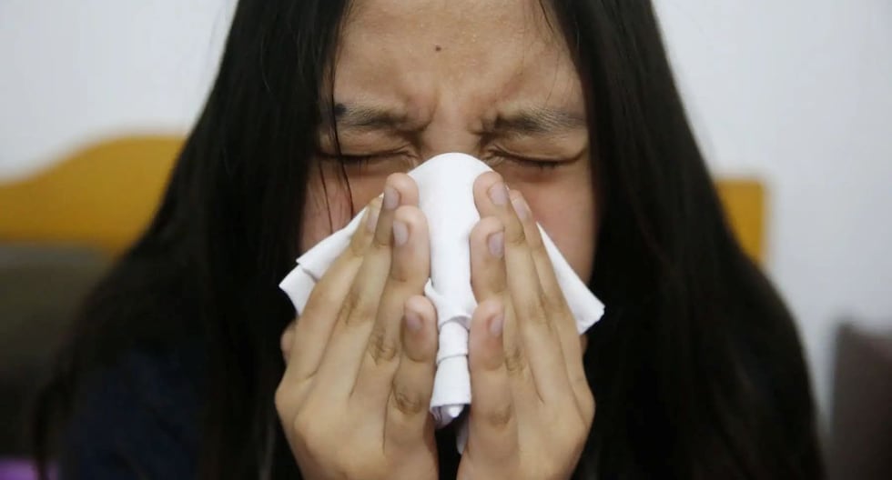 Detectan 4 nuevos casos de influenza A (H3N2) subclado K en Perú
