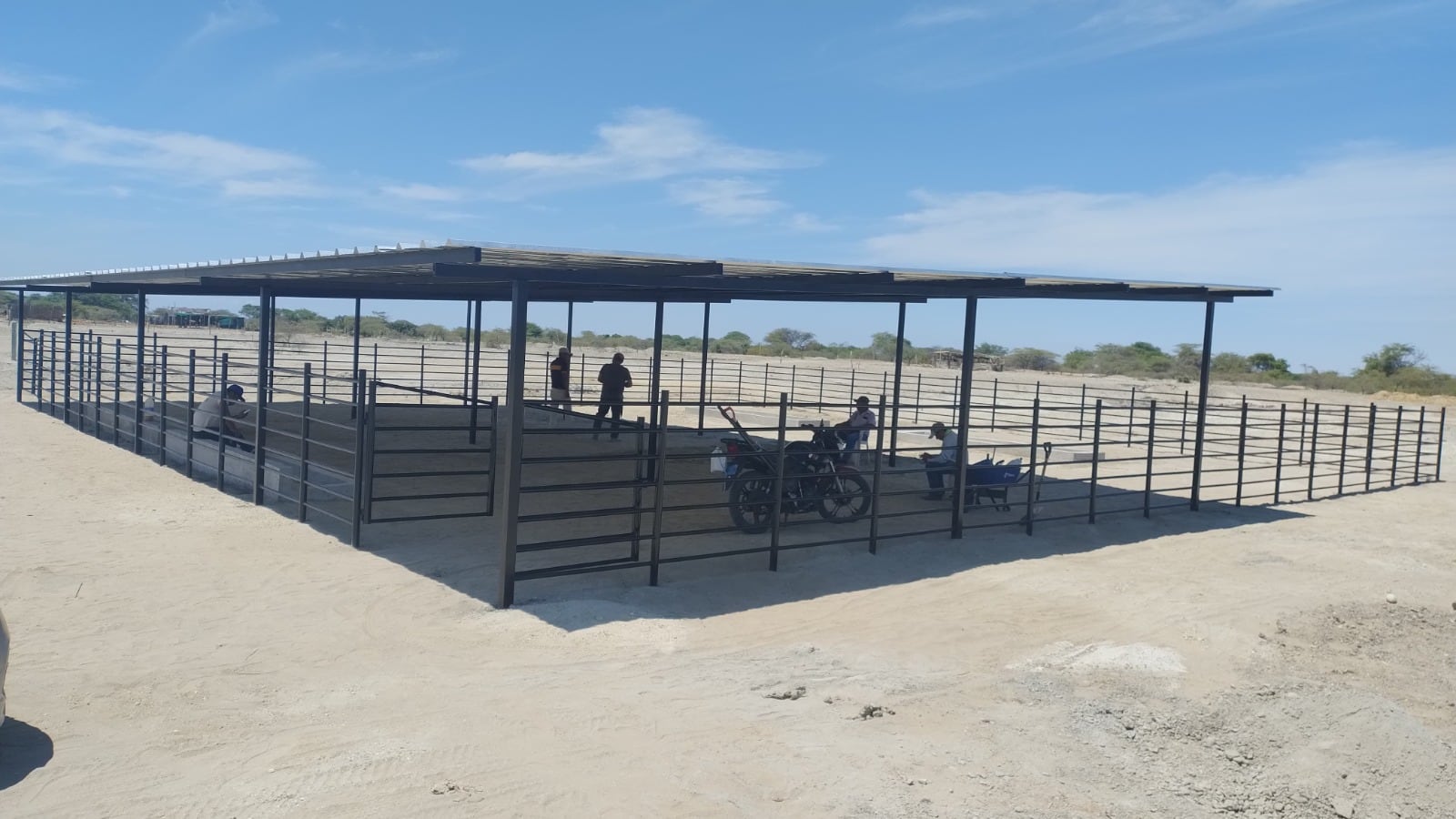 Impulsan la producción de carne de caprino en Piura.