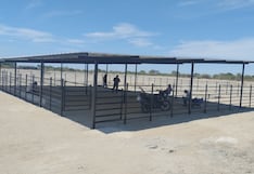 Gobierno Regional de Piura impulsa la producción de carne de caprino en Sechura