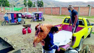 Huancayo: Intervienen camal informal donde beneficiaban cerdos en condiciones insalubres
