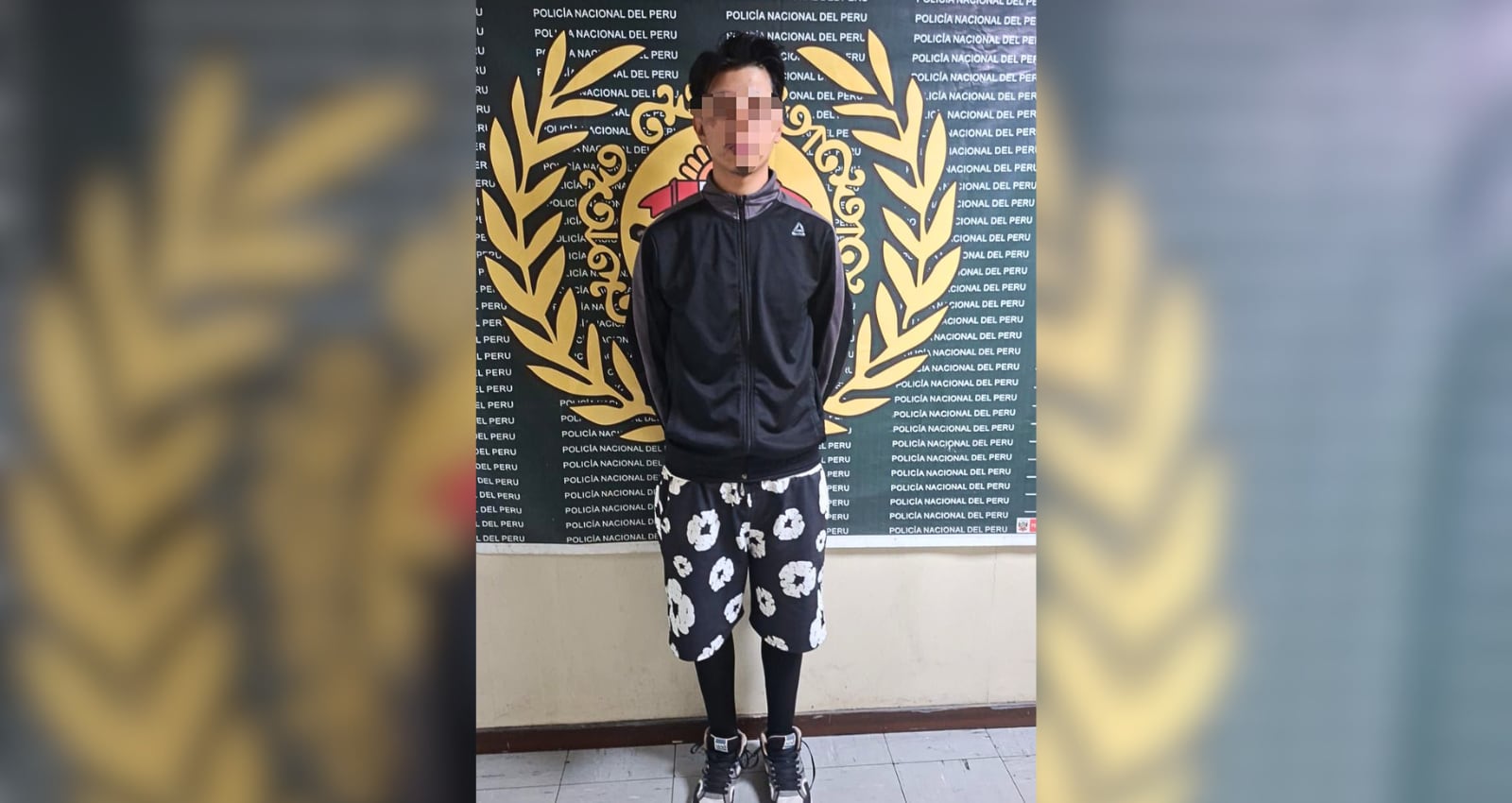 Joven acusado de fraude informático tras robo a pareja en Arequipa. Foto: PNP.