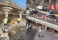 Miraflores: Grietas y caída de poste alertan sobre riesgo de derrumbe en la Costa Verde