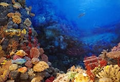 El Niño 2026: sequías, inundaciones y amenaza a los arrecifes de coral del mundo