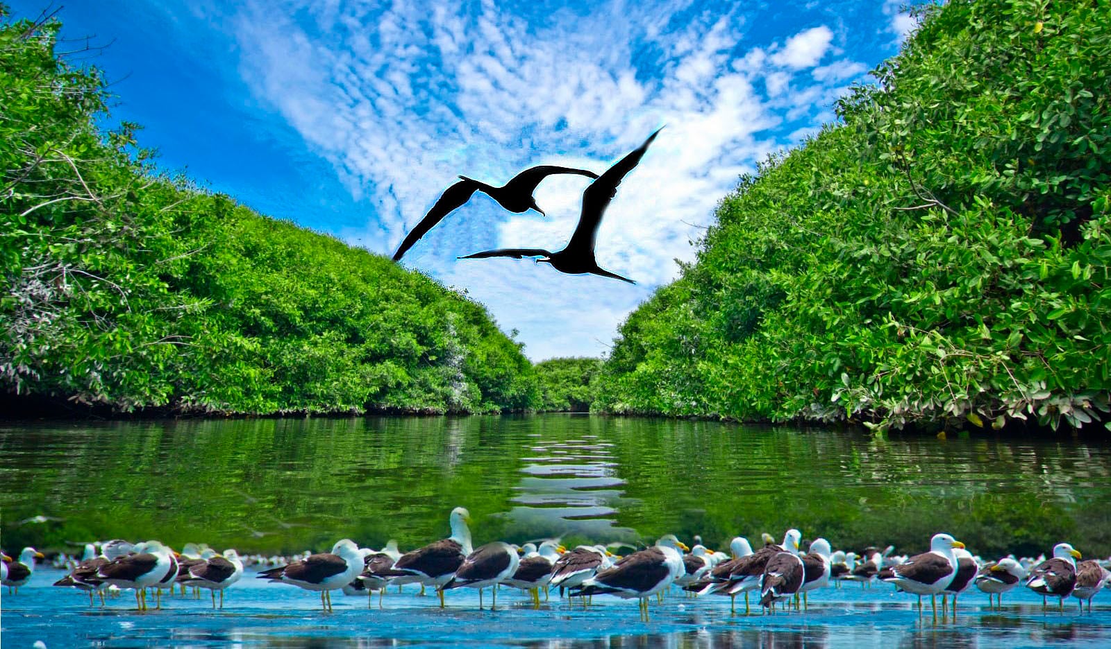 Paradisíaco escenario donde este año la naturaleza y el glamour se fusionan en un gran evento.