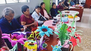 Chincha: resaltan saberes productivos de los adultos mayores en Sunampe