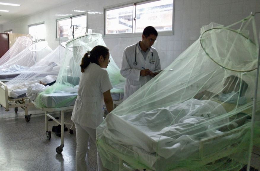 Ellos están estables en diversos nosocomios de este departamento, confirmó la Gerencia Regional de Salud. Además, hay 2,412 casos positivos, siendo Virú la provincia más golpeada, con 1,750 infectados. Llegada de fenómeno El Niño preocupa porque podría desencadenar nuevos brotes de esta enfermedad.