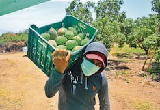 El Niño y las altas temperaturas dejarían millonarias pérdidas en Piura