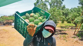 El Niño y las altas temperaturas dejarían millonarias pérdidas en Piura