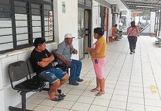 Enjambre de abejas ataca a abuela, nieto y tres obreros en Piura