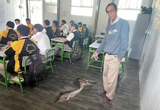 Piura: Más de 1,200 alumnos estudian en malas condiciones