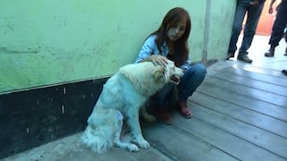 Facebook: Jovencita logra encontrar a su perro desaparecido en Nuevo Chimbote