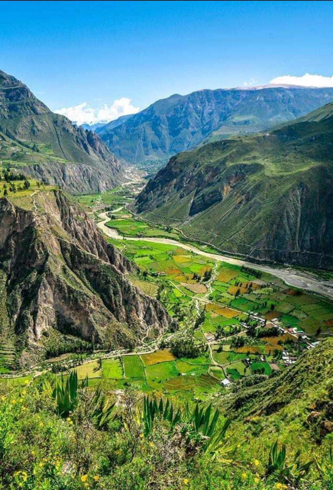 Cotahuasi produce gran variedad de papas y legumbres (Foto: Wiñay La Unión Cotahuasi)