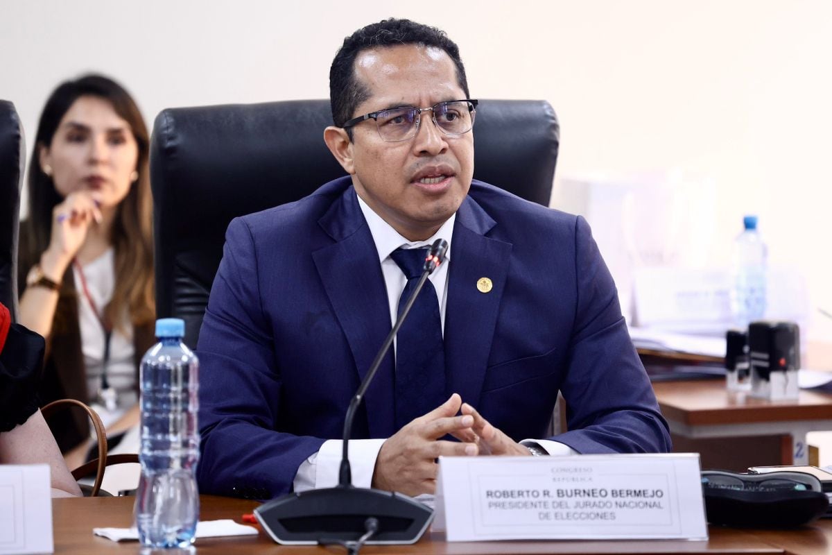 El JNE, presidido por Roberto Burneo, rechazó convocar a elecciones complementarias. Foto: Congreso.