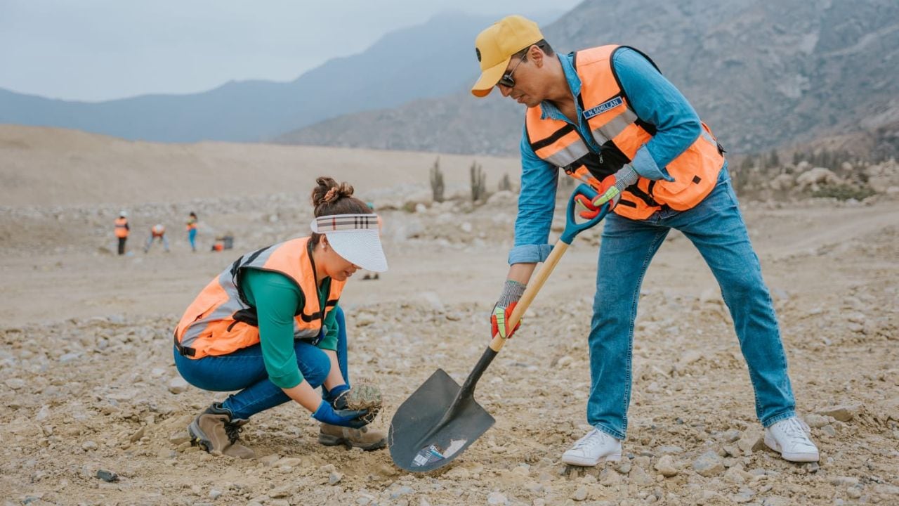 Iniciativa tiene impacto positivo y contó con apoyo de más de 50 colaboradores del Consorcio Besalco Stracon.