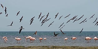 ¿Cómo puedes proteger el mar?