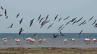 ¿Cómo puedes proteger el mar?