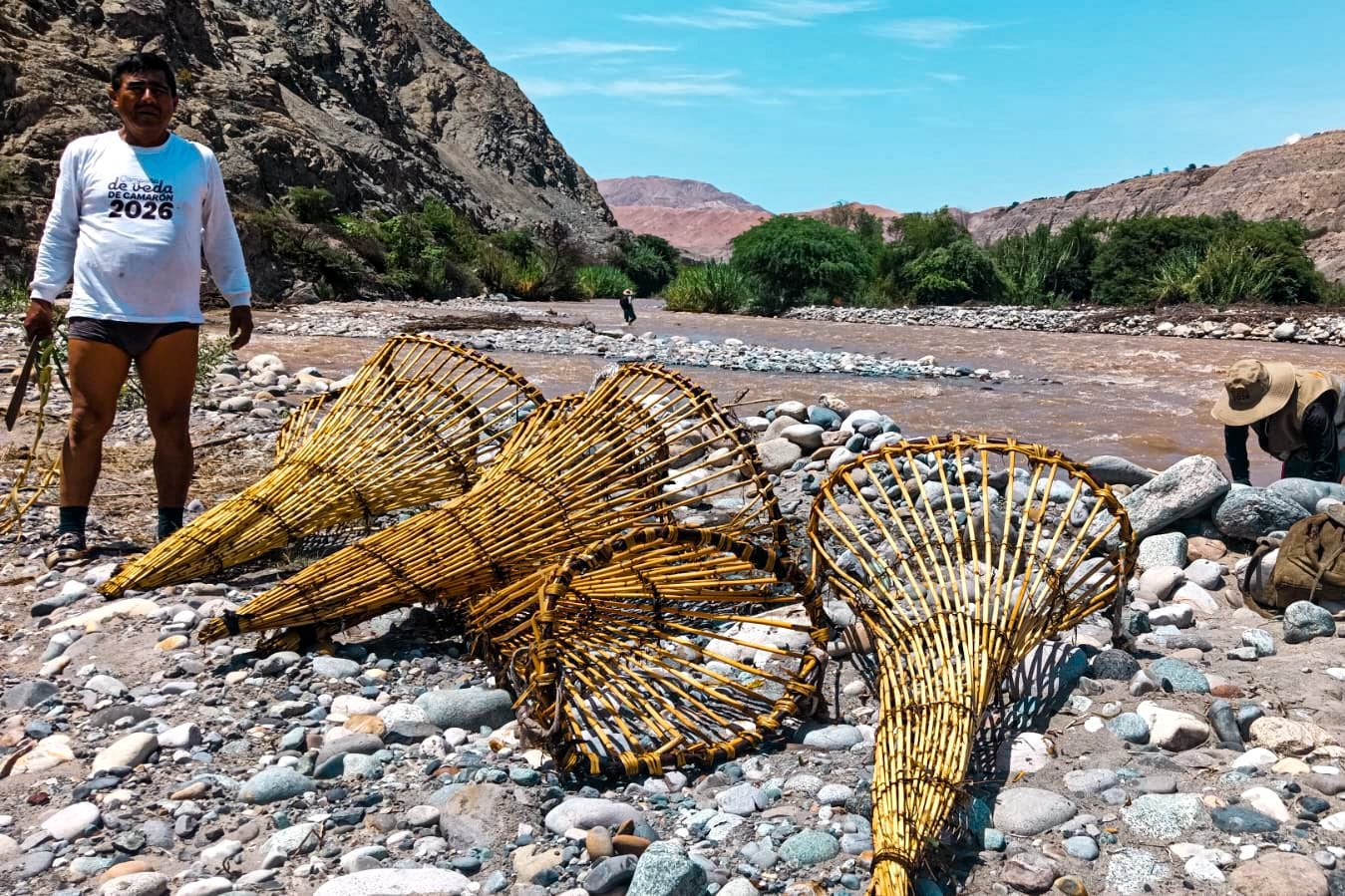 Destruyen isangas en río Majes (Foto: Gerencia de Producción)