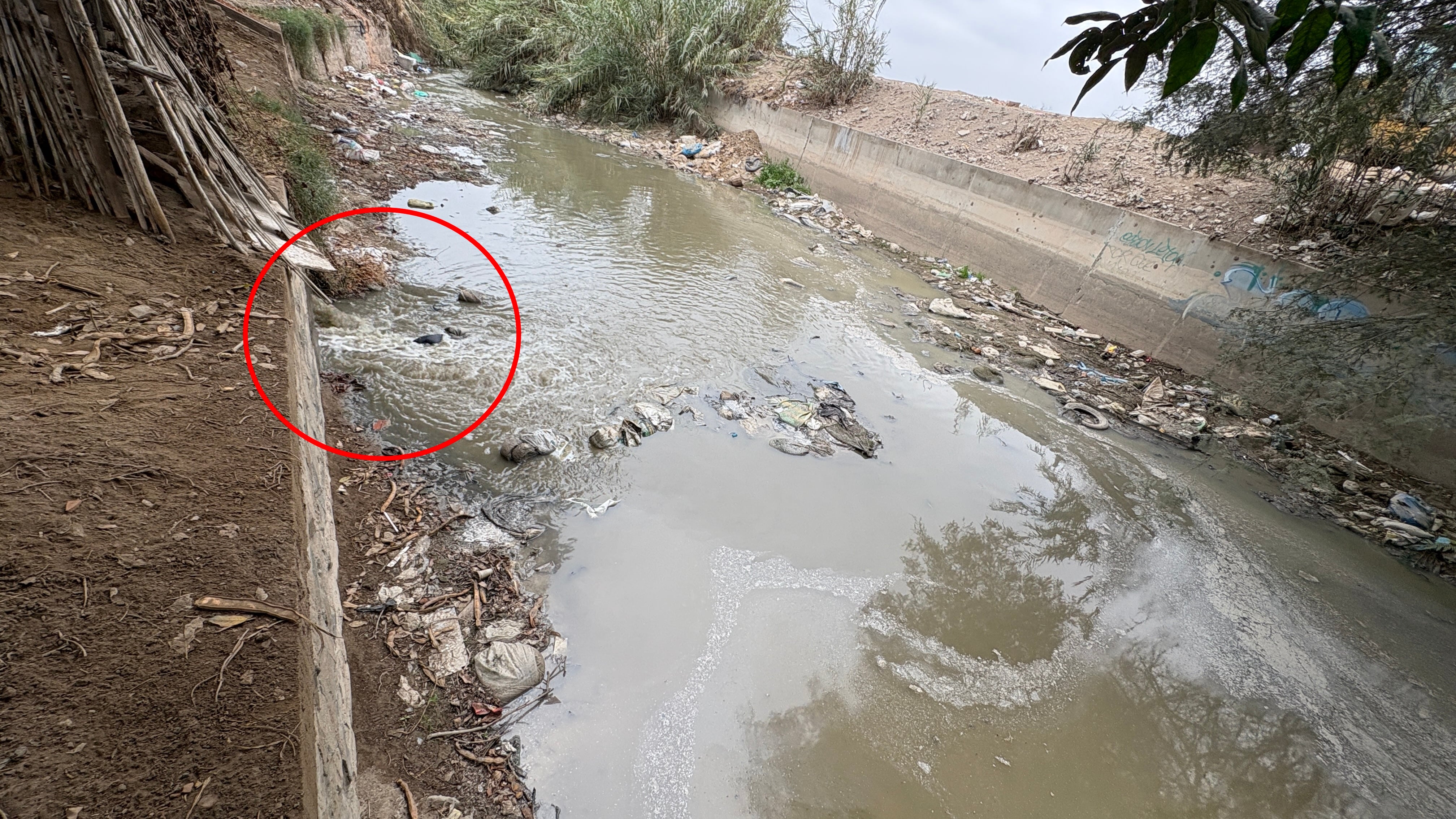 Ica: sancionan a Emapica con multa de 5.5 UIT por descargar aguas residuales en La Achirana
