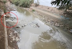 Ica: sancionan a Emapica con multa de 5.5 UIT por descargar aguas residuales en La Achirana