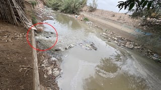 Ica: sancionan a Emapica con multa de 5.5 UIT por descargar aguas residuales en La Achirana