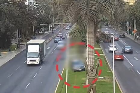 Joven atropellado en la Av. Javier Prado se encuentra en UCI: Está con respiración artificial