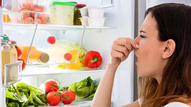 ¿Mal olor en el refrigerador? Conoce la forma de quitarlo en simples pasos