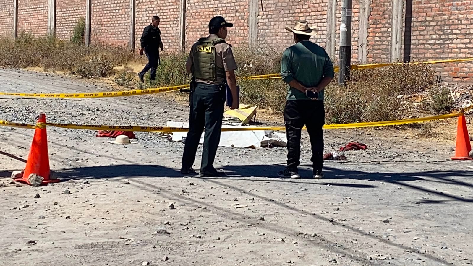 Ataque de dos perros ocurrió en el sector de Umapalca, distrito de Sabandía. Foto: GEC.
