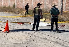 Fatal ataque en Arequipa: Perros matan a anciana cuando iba al mercado