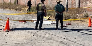 Ataque de dos perros ocurrió en el sector de Umapalca, distrito de Sabandía. Foto: GEC.