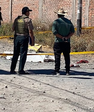 Ataque de dos perros ocurrió en el sector de Umapalca, distrito de Sabandía. Foto: GEC.