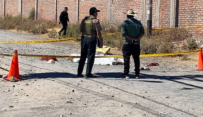 Ataque de dos perros ocurrió en el sector de Umapalca, distrito de Sabandía. Foto: GEC.