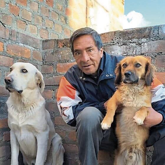 Conductor enfrentaría el cargo de homicidio culposo