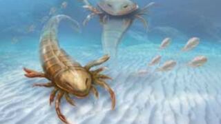 Hallan extinta especie de escorpión de mar