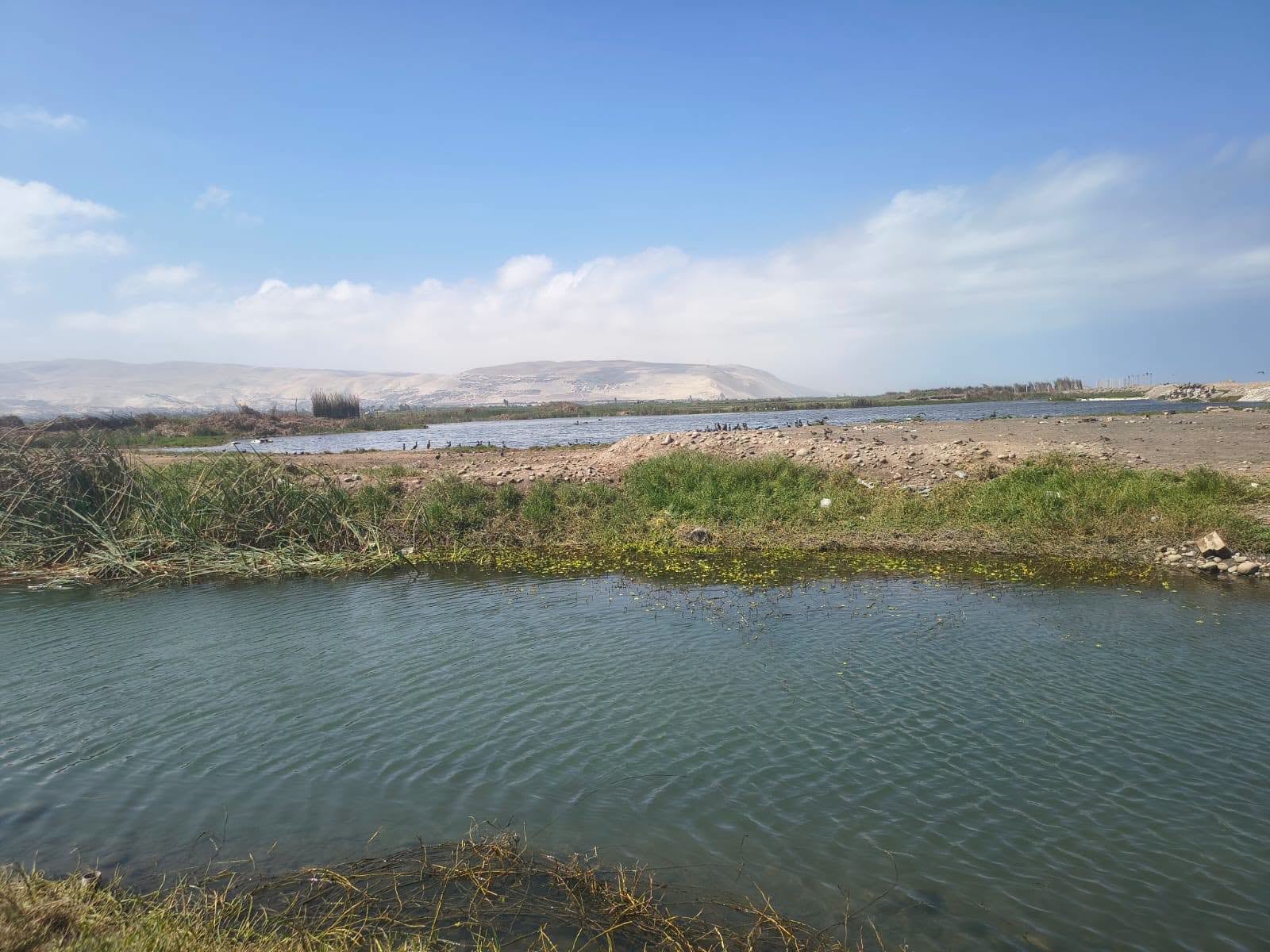 Acuerdan medidas para proteger humedales de Camaná (Foto: ANA)
